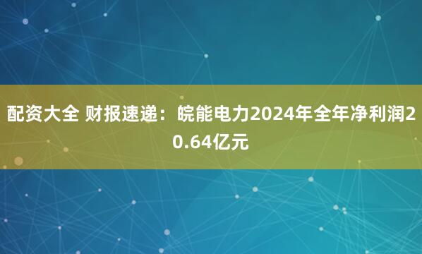配资大全 财报速递：皖能电力2024年全年净利润20.64亿元