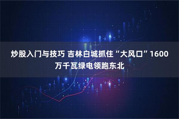 炒股入门与技巧 吉林白城抓住“大风口”1600万千瓦绿电领跑东北